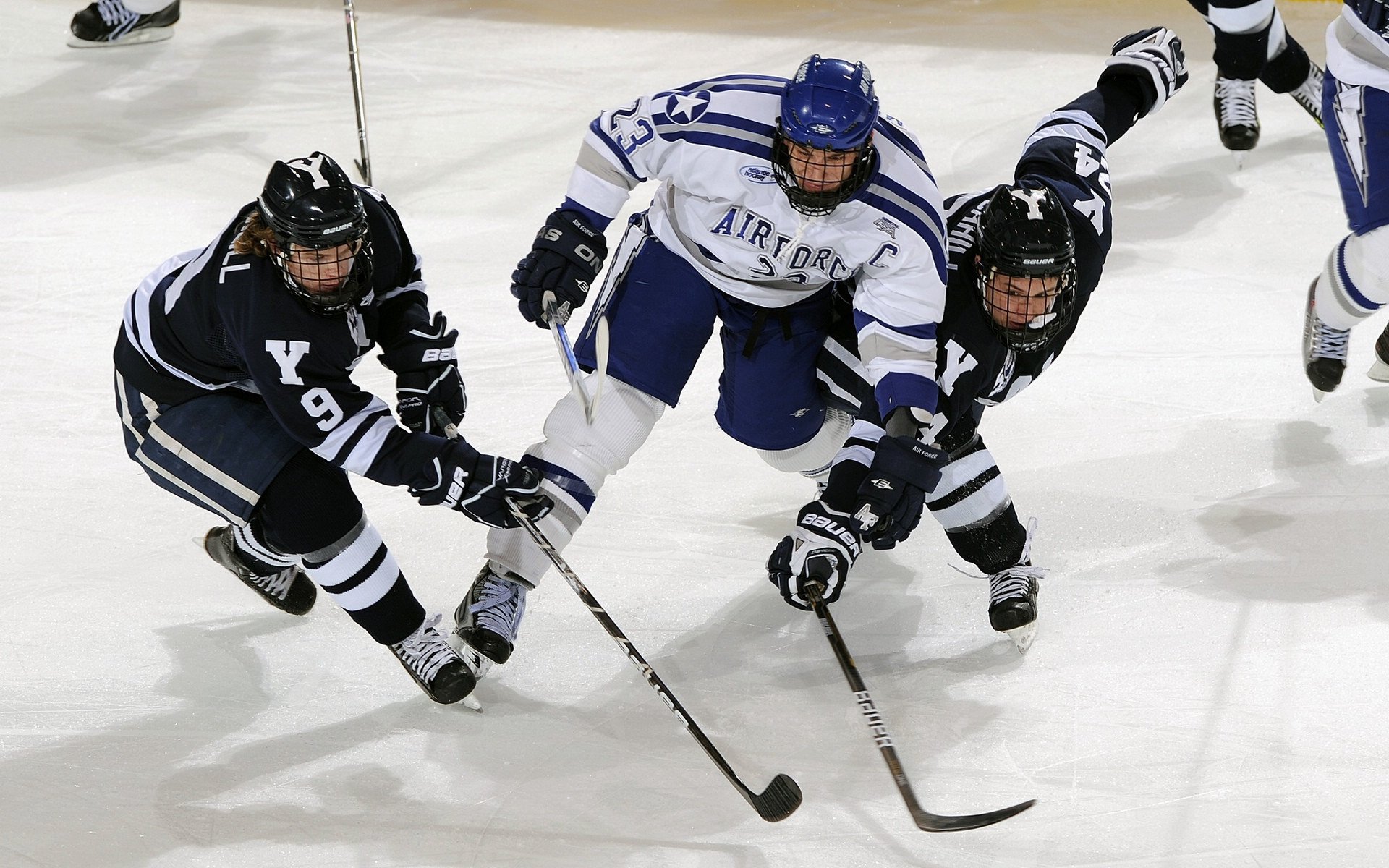中国青少年篮球行业标准体系全面升级，行业规范化迈出坚实步伐